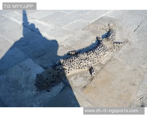 足球放鹰展翅高飞激情碰撞梦想与现实的完美交融